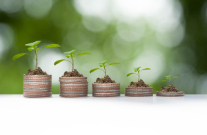 Plant Growth On Coin Pile, Business Conceptual